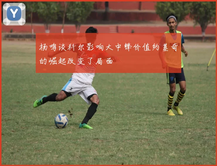 杨鸣谈科尔影响大中锋价值约基奇的崛起改变了局面
