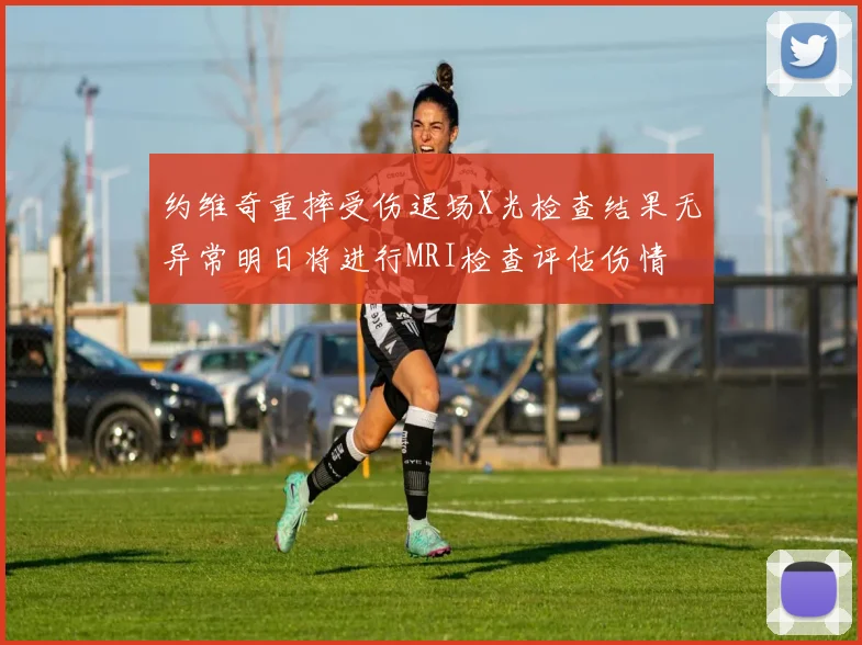 约维奇重摔受伤退场X光检查结果无异常明日将进行MRI检查评估伤情